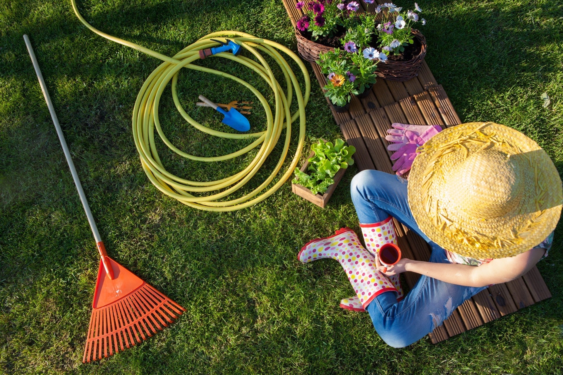 Tipps zur Gartenbewässerung